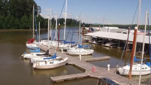 Sail boats docked at a marina. Water, sky and trees