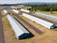 Hangar buildings with taxiways