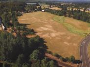 Field with road and train tracks and trees