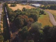 Highway, train, and field with trees