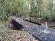 Bridge over a creek, trees