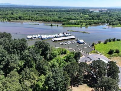 Trees with river and docks with boathouses 